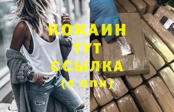 мдпв Белокуриха