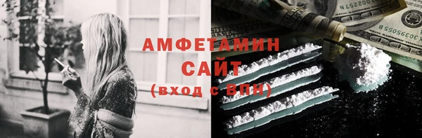 прущие грибы Богданович