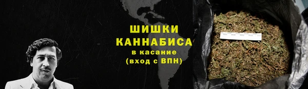 прущие грибы Богданович