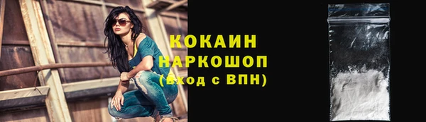 тгк Богородицк