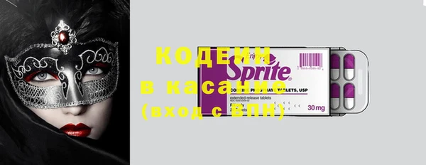 прущие грибы Богданович
