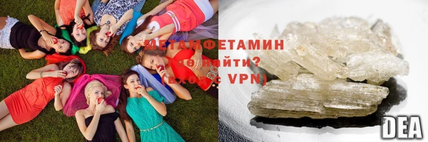 прущие грибы Богданович