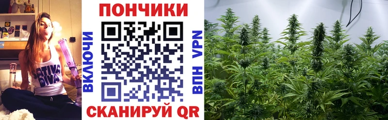 Бошки Шишки OG Kush  Купить где  Весьегонск 